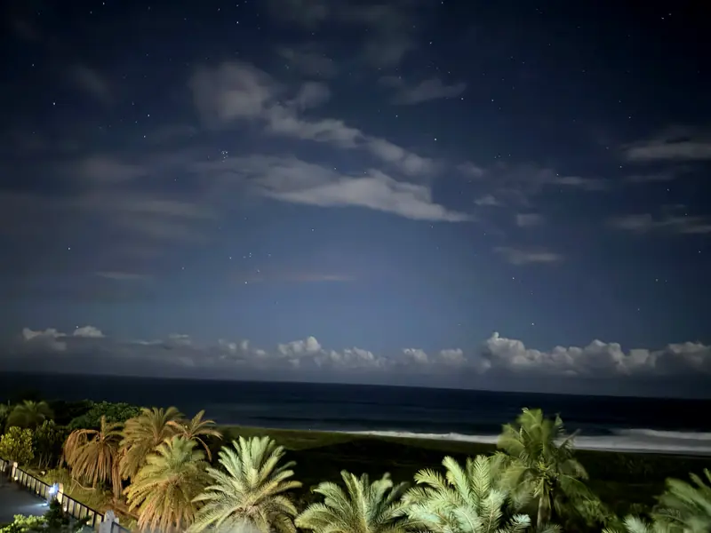 夜晚的太平洋海景與棕櫚樹